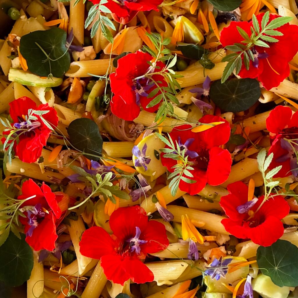 Une salade pleine de couleurs et de goût grâce aux micro-pousses, fleurs comestibles et herbes aromatiques. 