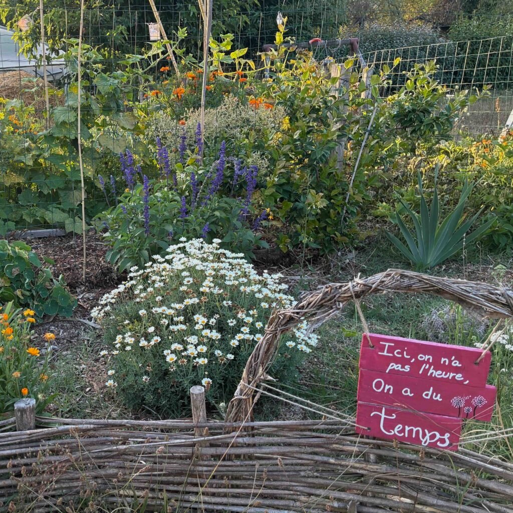 Image qui illustre notre état d'esprit, accompagnée de belles couleurs avec des plantes aromatiques telles que la sauge bleue en fond d'image. 