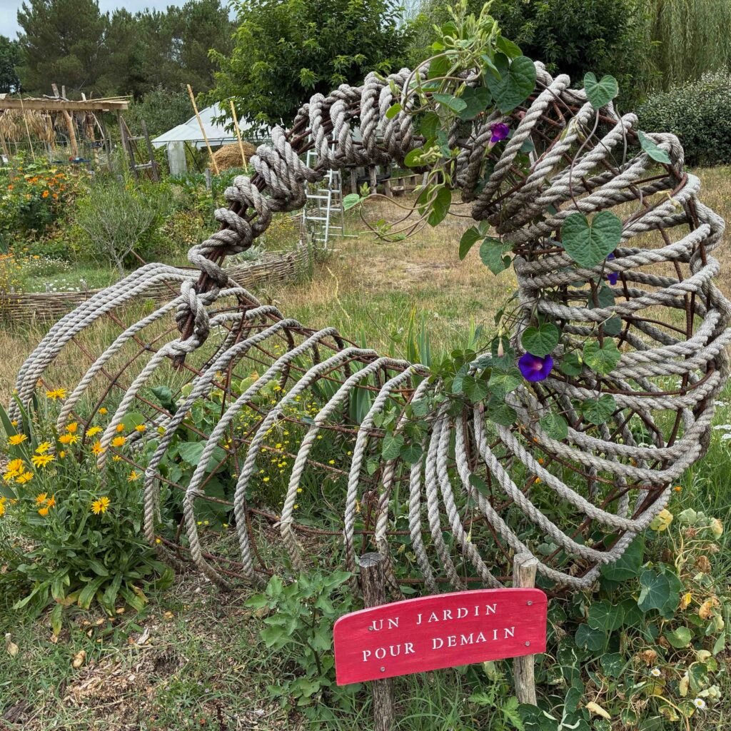 Gros plan sur notre jardin à Saint-Vincent de Connezac dans le Périgord Blanc. 