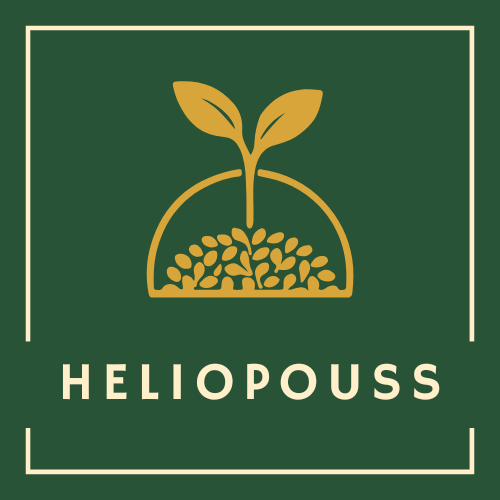 heliopouss