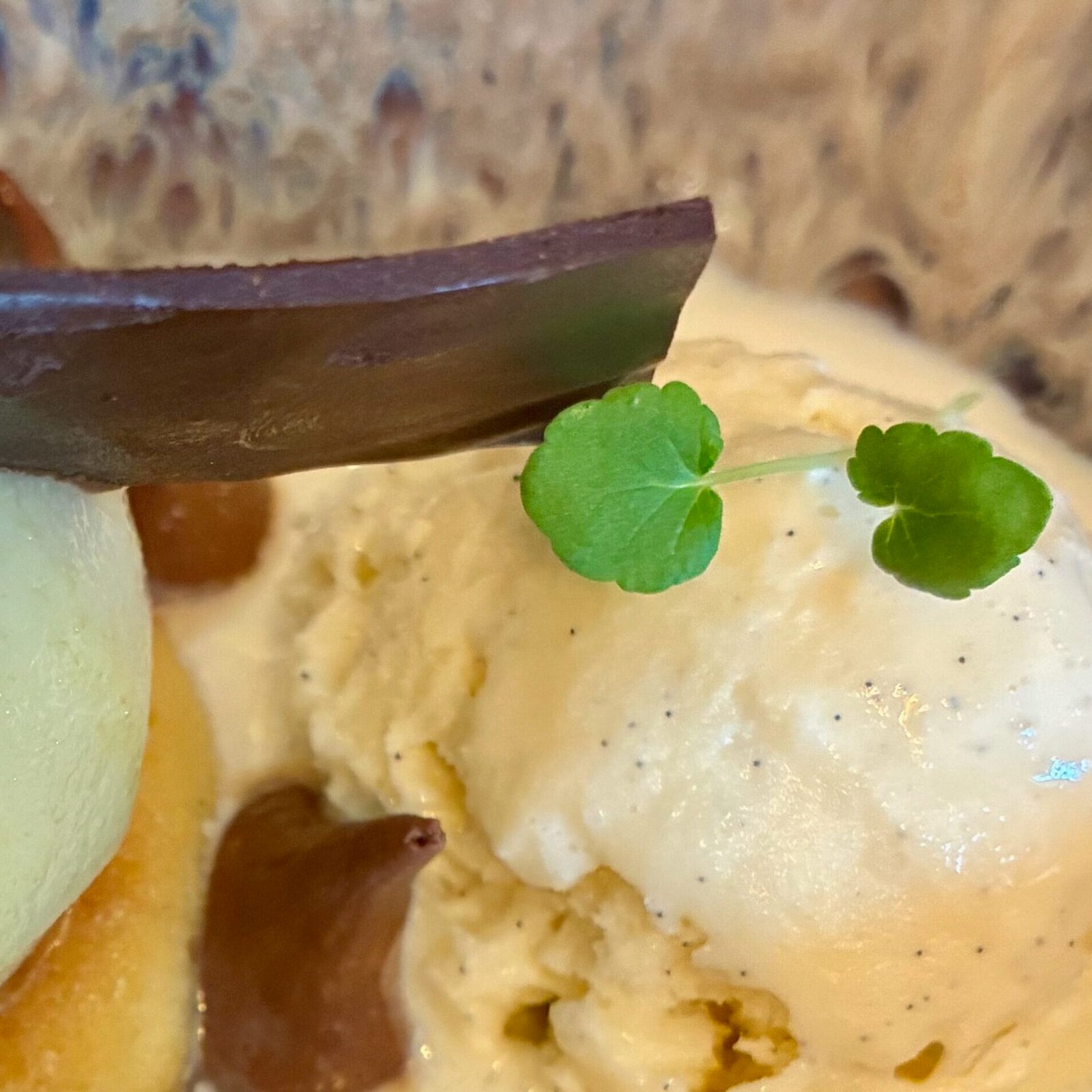 Exemple d'une micro-pousse d'agastache dressée sur un dessert bistronomique d'un restaurant en Dordogne.