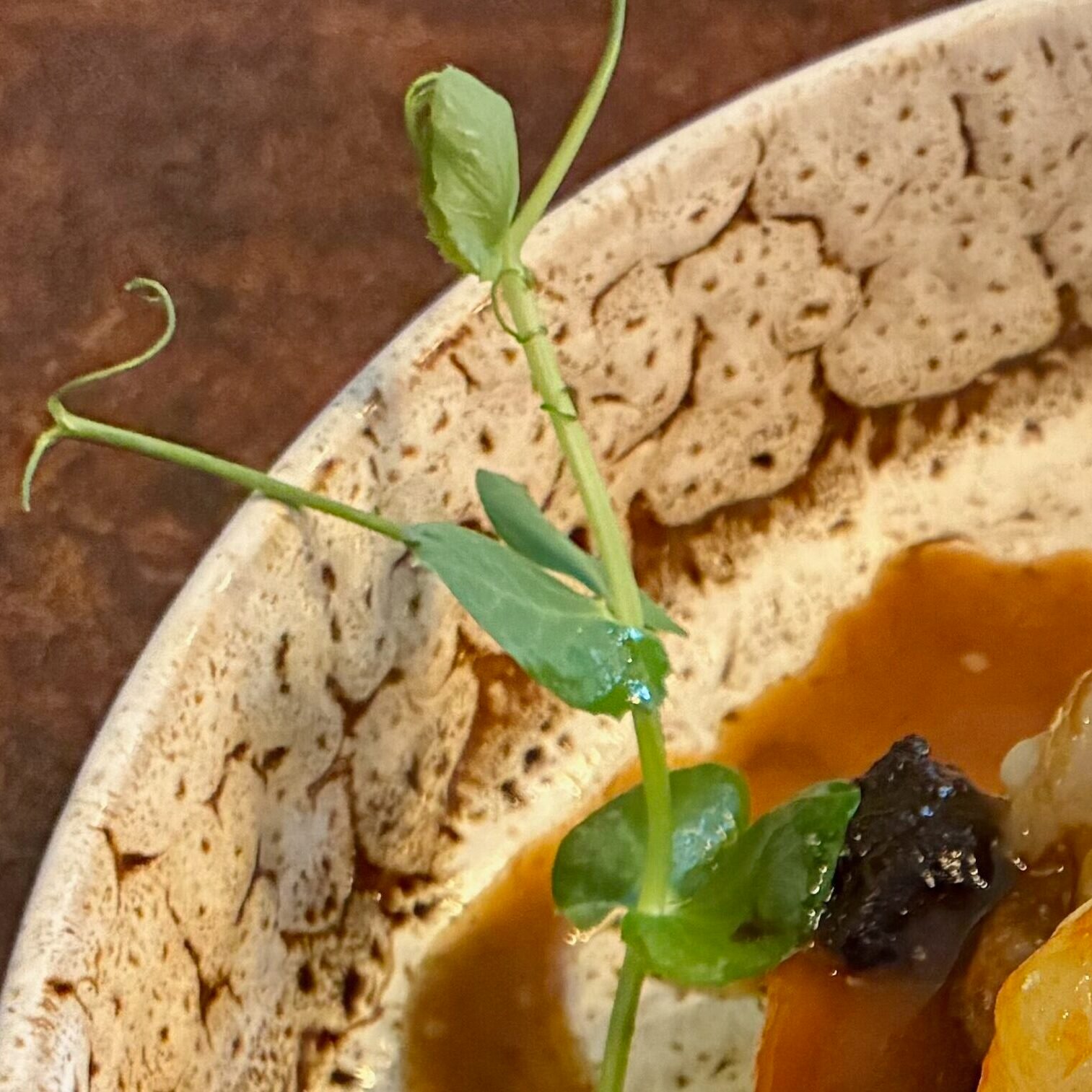 Exemple d'une micro-pousse de petit-pois dressé dans une assiette de restaurant en Dordogne.