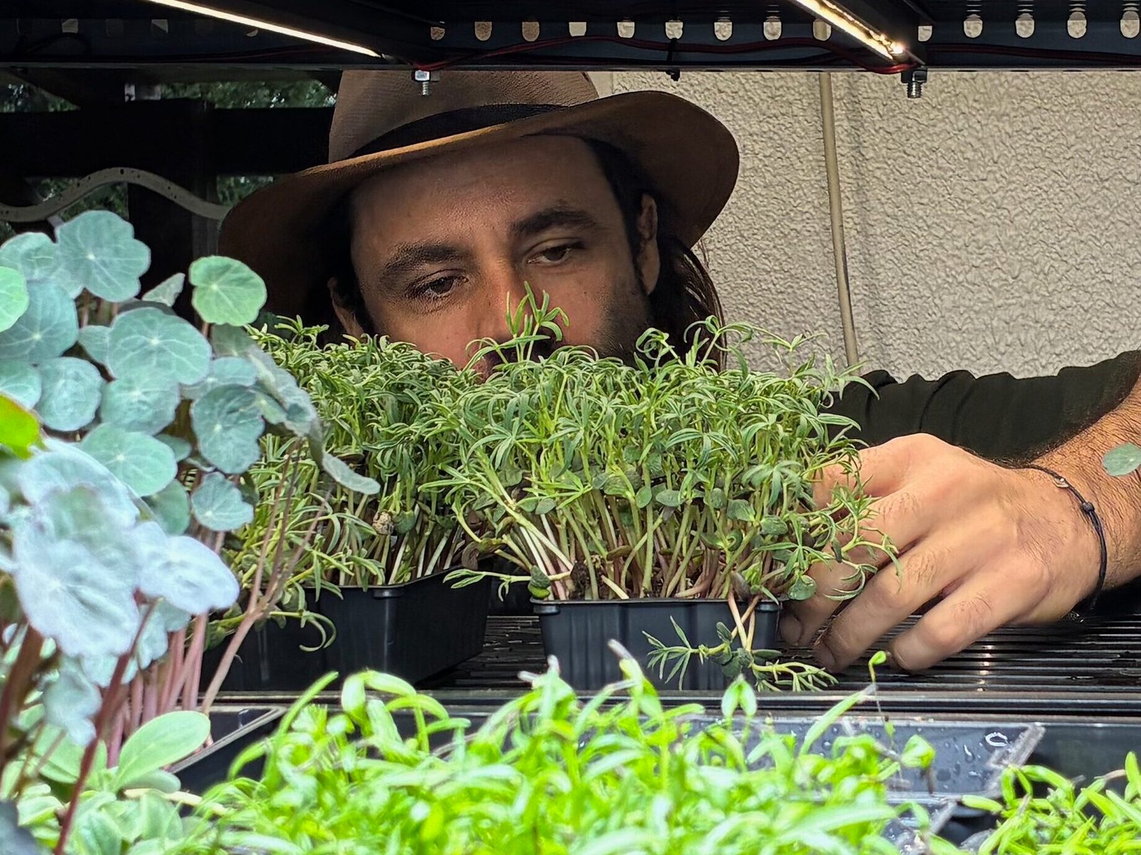 Thomas, producteur de micro-pousses chez Heliopouss à Saint-Vincent-de-Connezac en Dordogne.